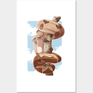 Royal boa constrictor Posters and Art